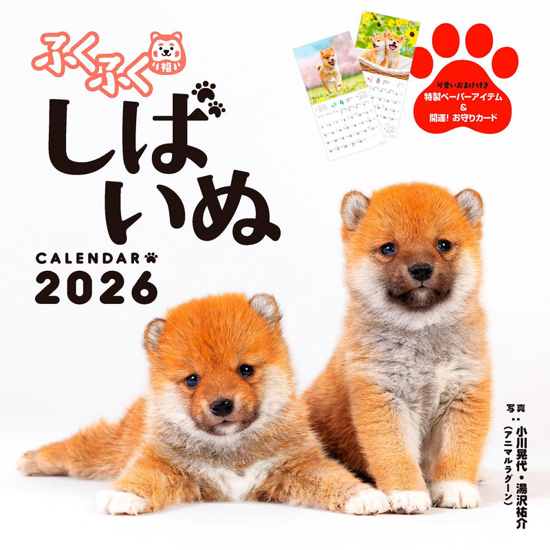 Calendar 2026 Fukufuku Shibainu (Monthly/Wall Calendar) (Impress Calendar 2026)