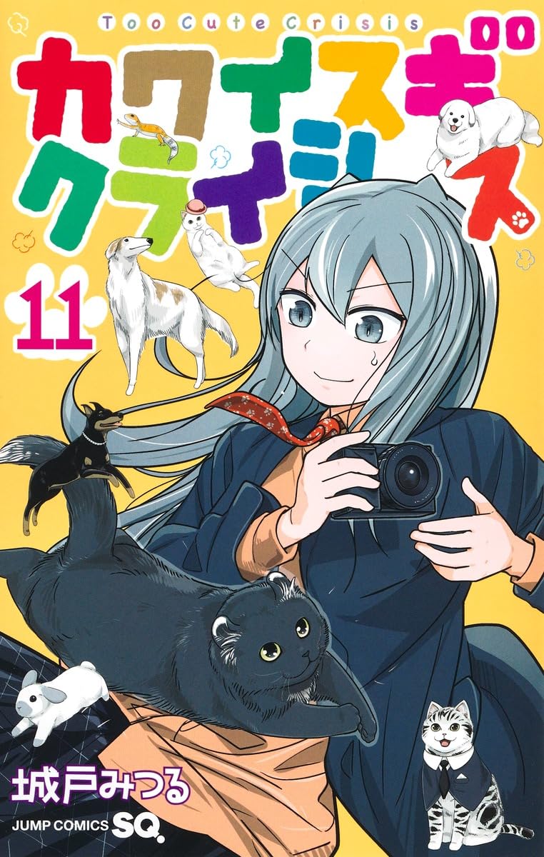 Kawaisugi Crisis 11