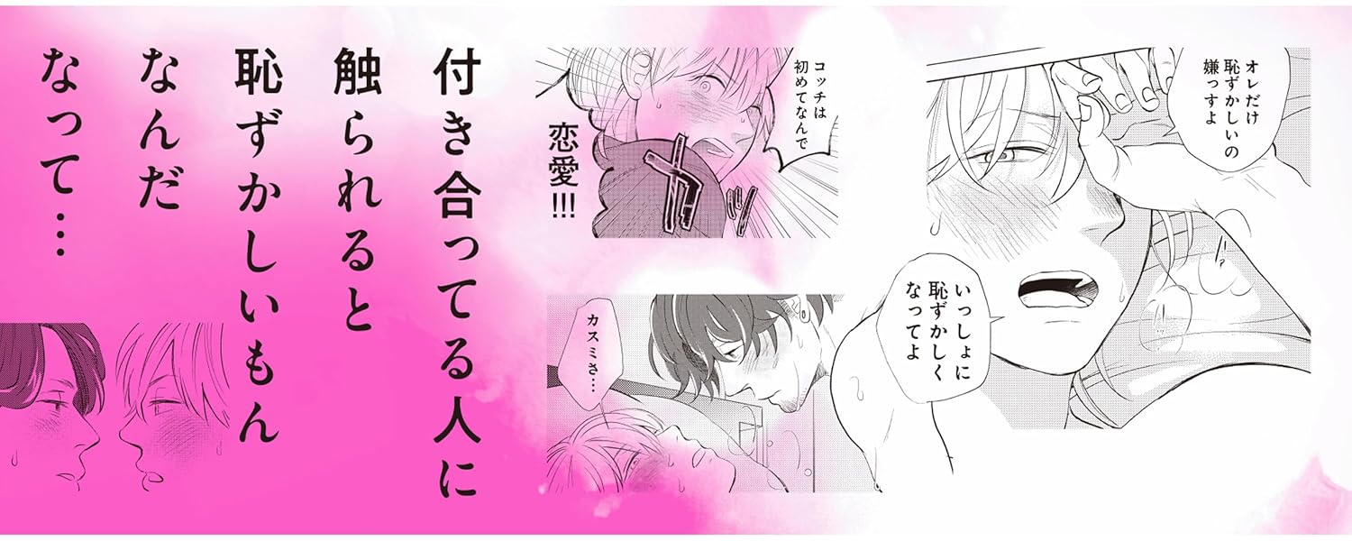 Kareshi ga Hosikatta 2