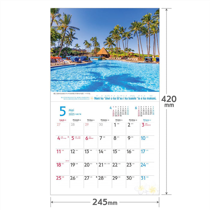 Shashin Koubou 'HAWAII Aloha Story' 2025 Wall Calendar 210 x 245mm