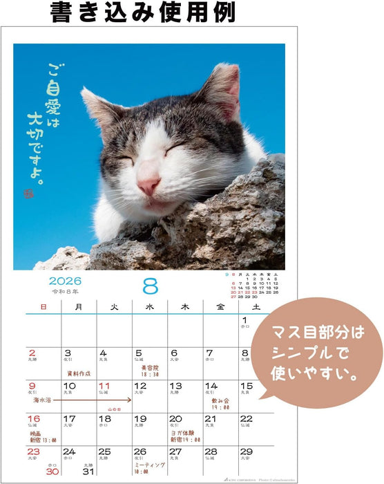 Active Corporation 2026 Wall Calendar Hinatabokko Neko Dayori 26ACL-04