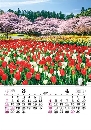 Todan 2027 Wall Calendar Japan (Film) CL27-1042