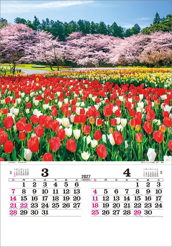 Todan 2027 Wall Calendar Japan (Film) CL27-1042