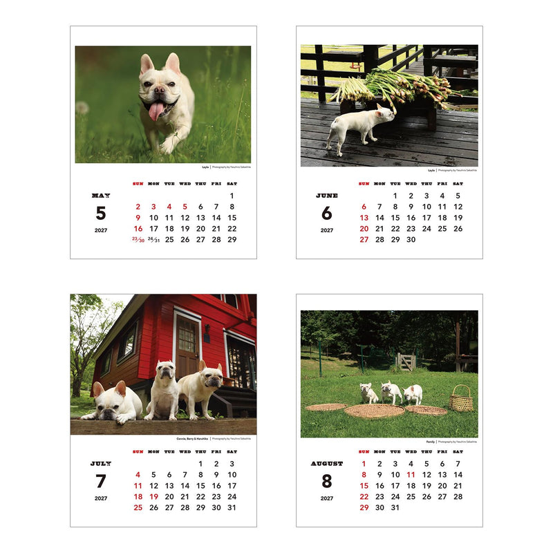 Greeting Life 2027 Desk Calendar NATSUHIKO FAMILY C-1769-NA