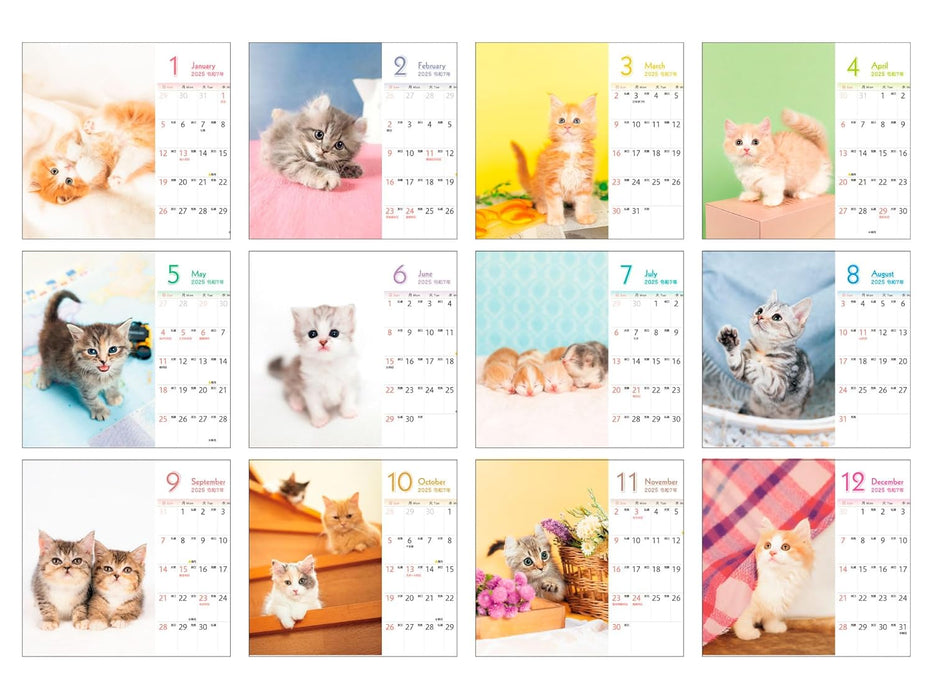 Mofumofu Koneko mini Calendar 2025 (Impress Calendar 2025)