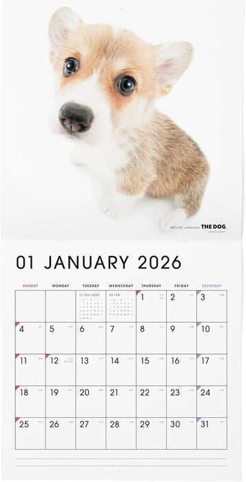 THE DOG 2026 Wall Calendar Large Size [Welsh Corgi]