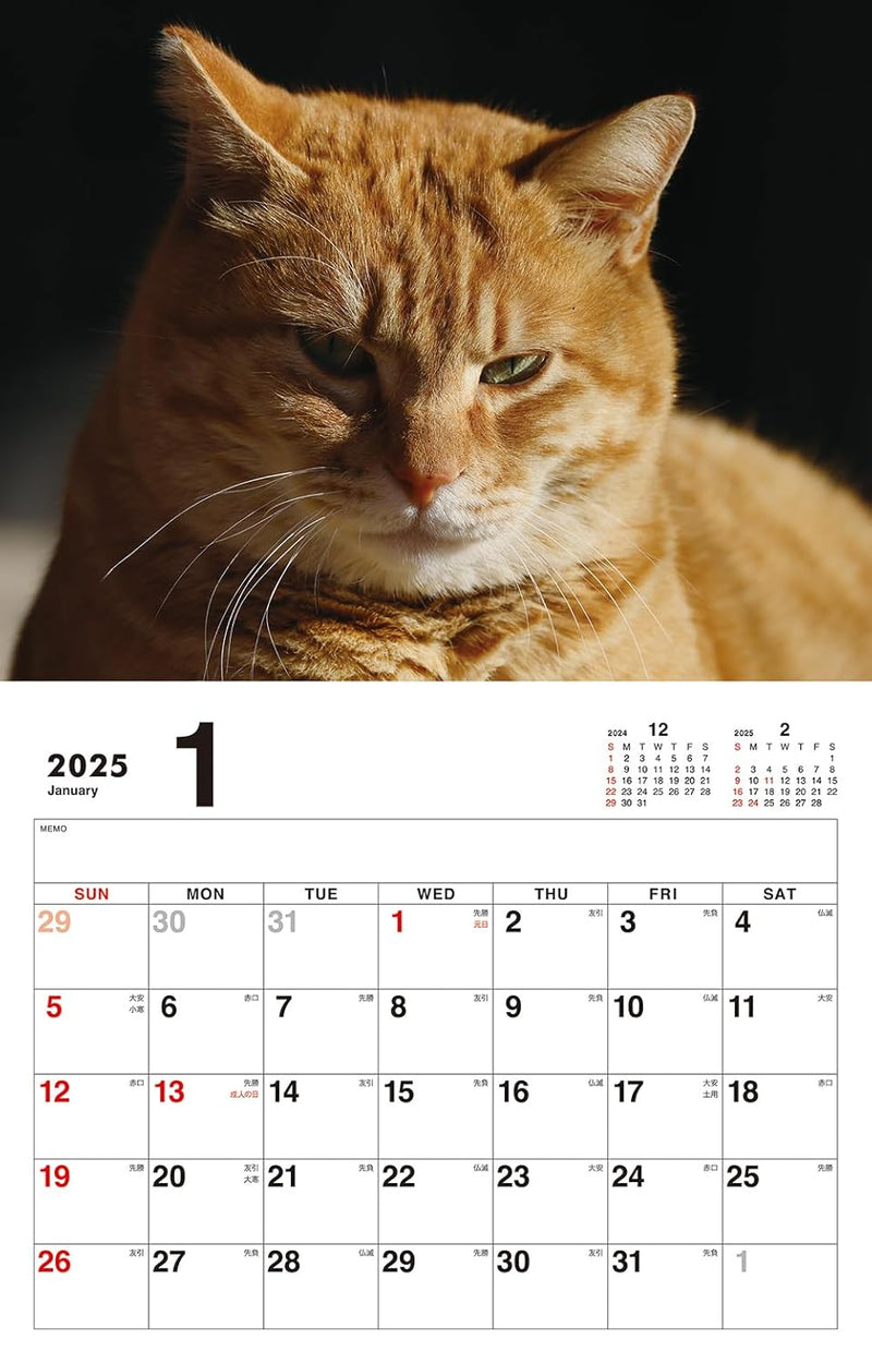 Boss Cat Calendar 2025