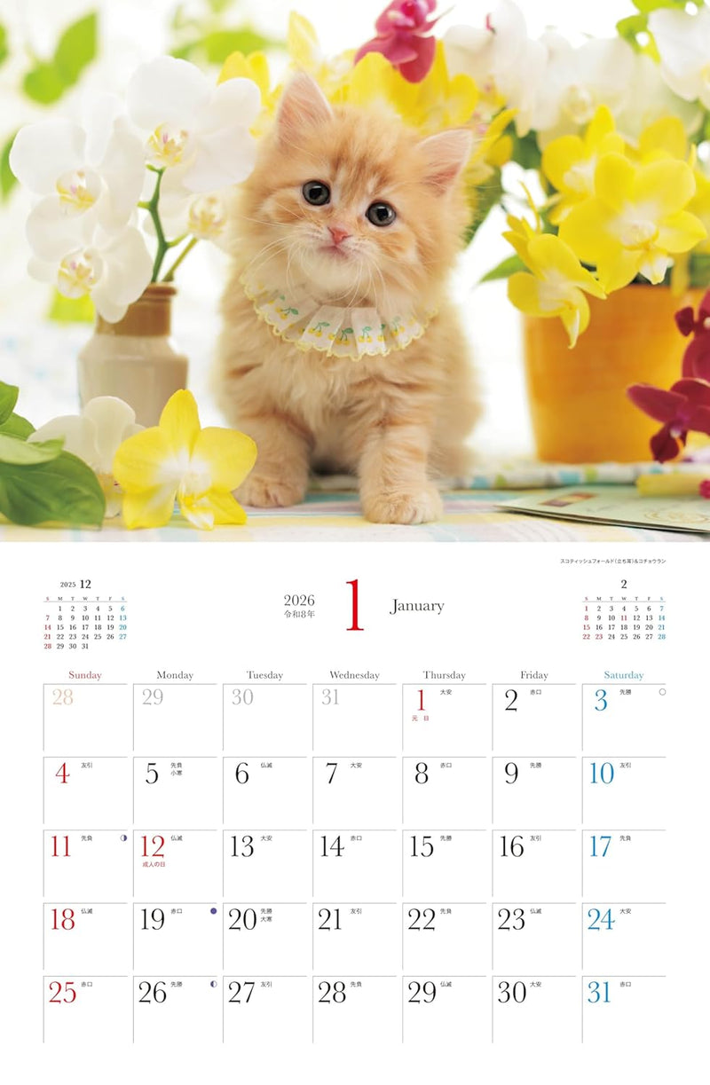 Calendar 2026 Beloved Kittens and Flowers (Monthly/Wall Calendar) (Yama-kei Calendar 2026)