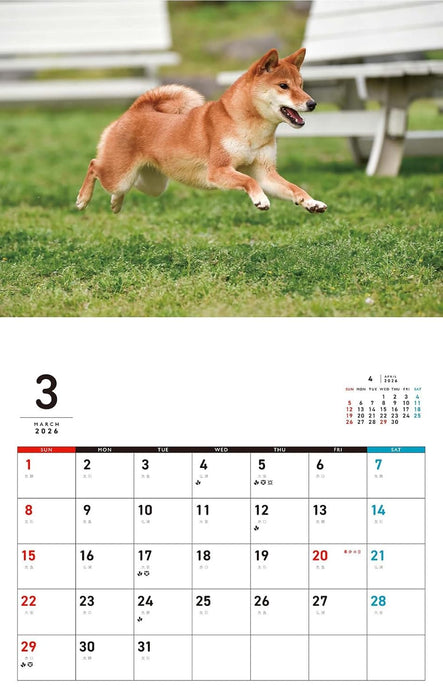I LOVE Shiba Calendar 2026