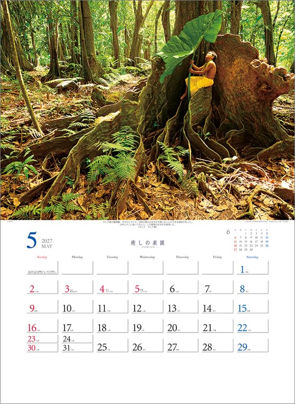 Todan 2027 Wall Calendar Healing Paradise - Kazuyoshi Miyoshi Works Collection CL27-1026