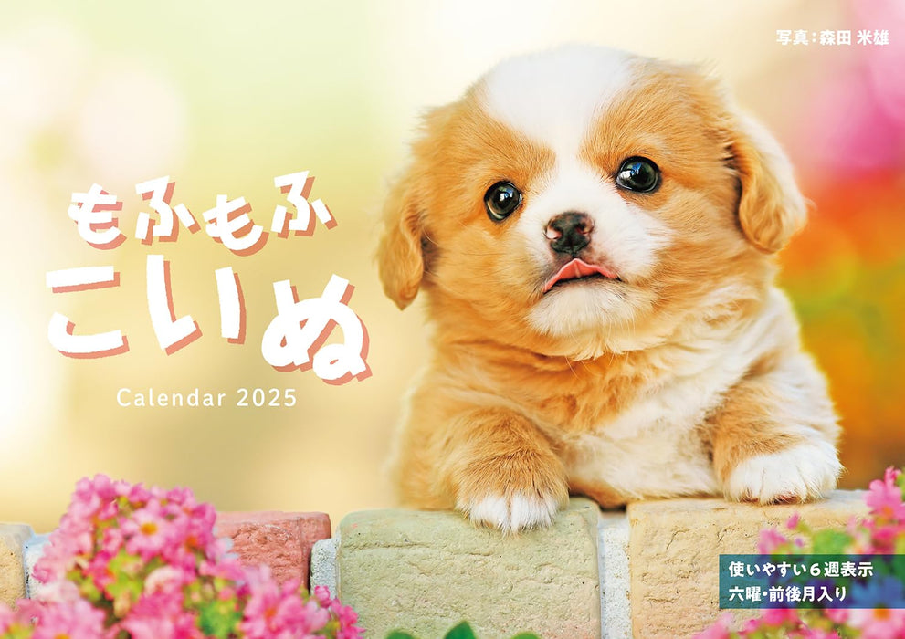 Calendar 2025 Mofu Mofu Koinu (Monthly/Wall Calendar) (Impress Calendar 2025)