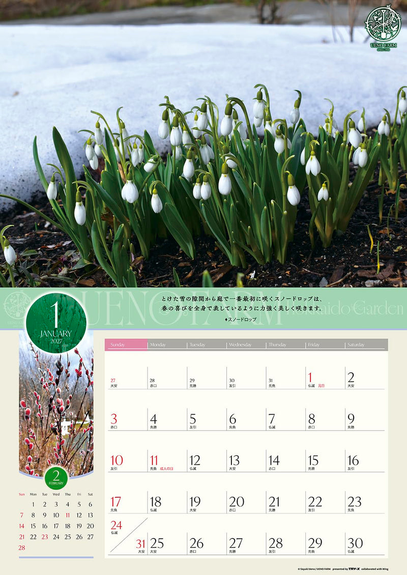 Try-X 2027 Wall Calendar Ueno Farm Hokkaido Garden 27CL-478 52x36cm