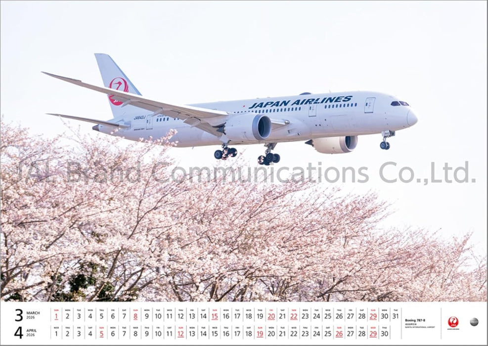 JAL 'FLEET' (Large Size) 2026 Wall Calendar CL25-1134