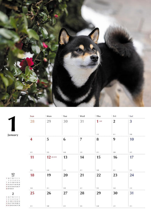 Black Shiba Inu Calendar 2026 (Wall Calendar)