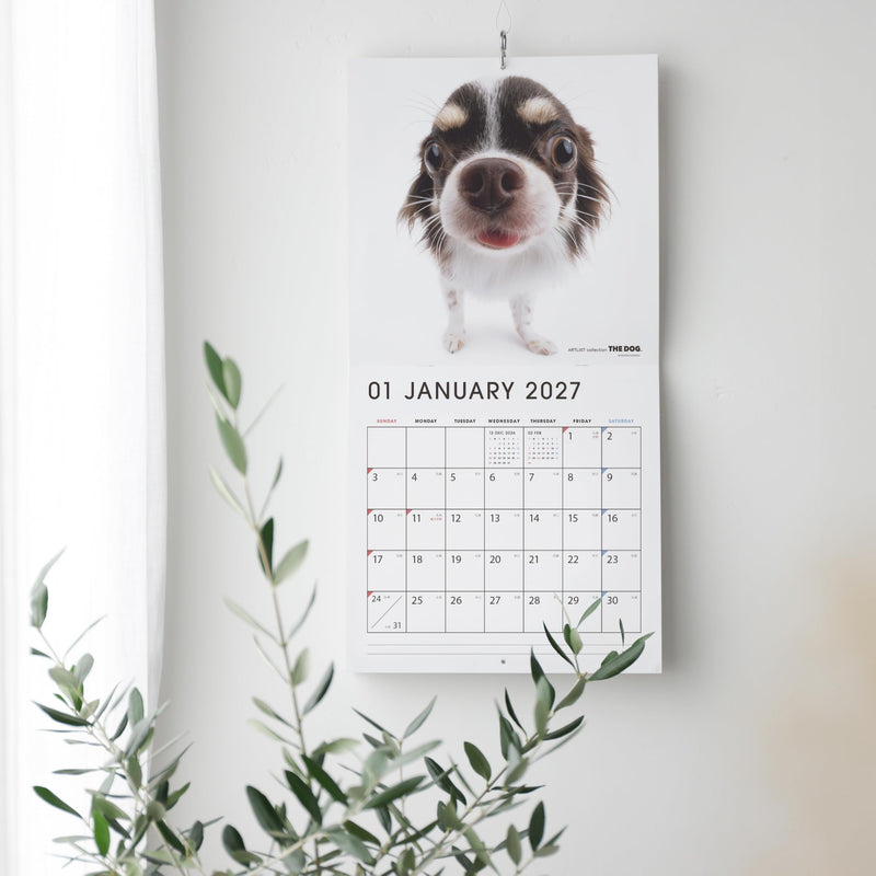 THE DOG 2027 Wall Calendar Large Size [American Cocker Spaniel]