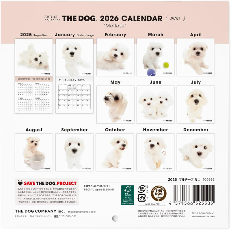 THE DOG 2026 Wall Calendar Mini Size [Maltese]