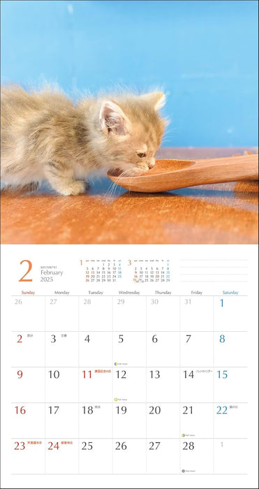 2025 Kimagure Nyanko Wall Calendar