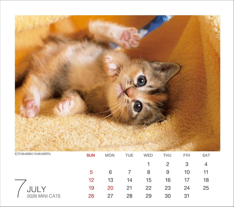 2026 Mini Calendar Cats