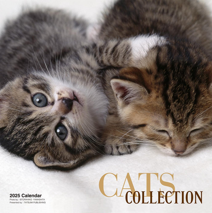 2025 Calendar Cats Collection