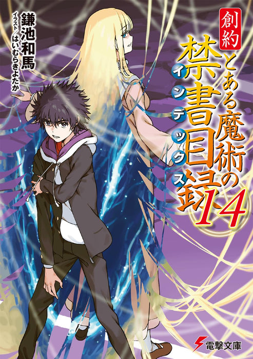Souyaku Toaru Majutsu no Index 14 (Light Novel)