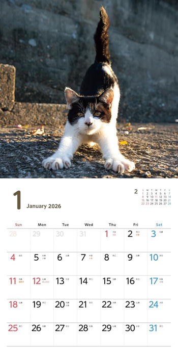 Nobi Neko Calendar 2026