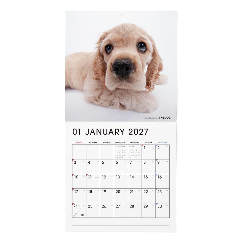 THE DOG 2027 Wall Calendar Large Size [American Cocker Spaniel]