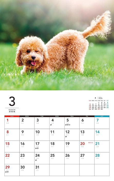 I LOVE Poodle Calendar 2026(Monthly/Wall Calendar)