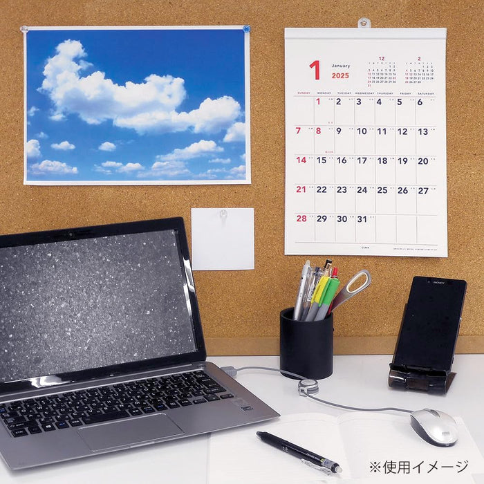 JAL 'FLEET' (Desk Size) 2025 Desk Calendar CL25-1136