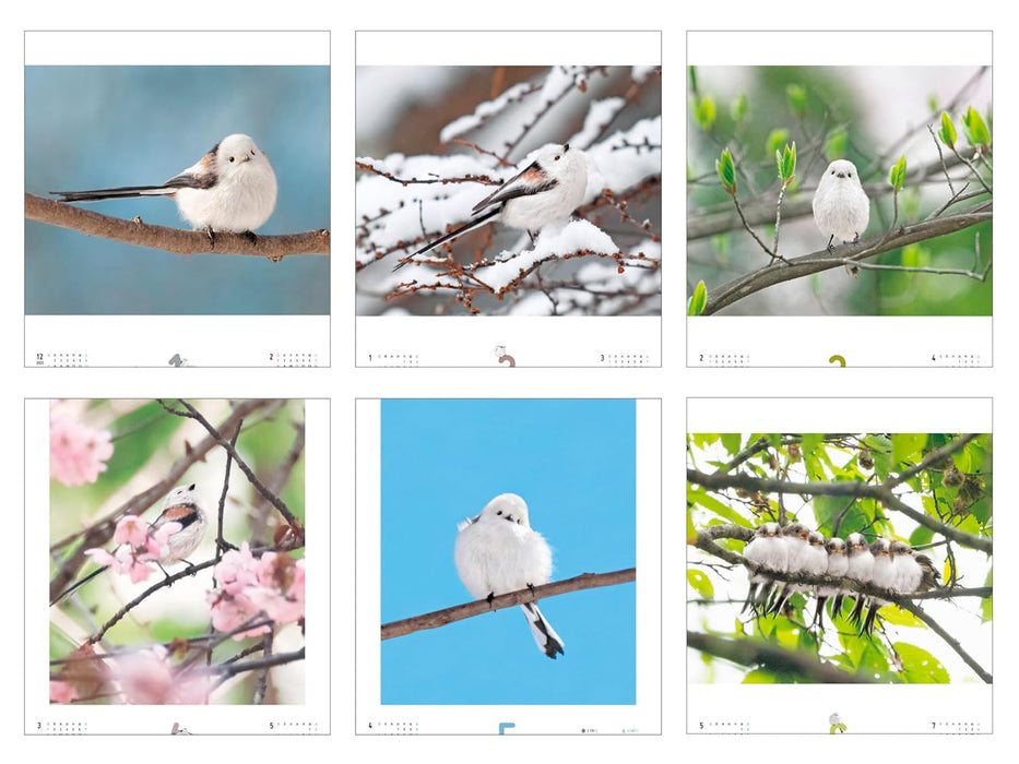 Manmaru Kawaii Snow Fairy Shimaenaga-chan CALENDAR 2026 (Impress Calendar 2026)