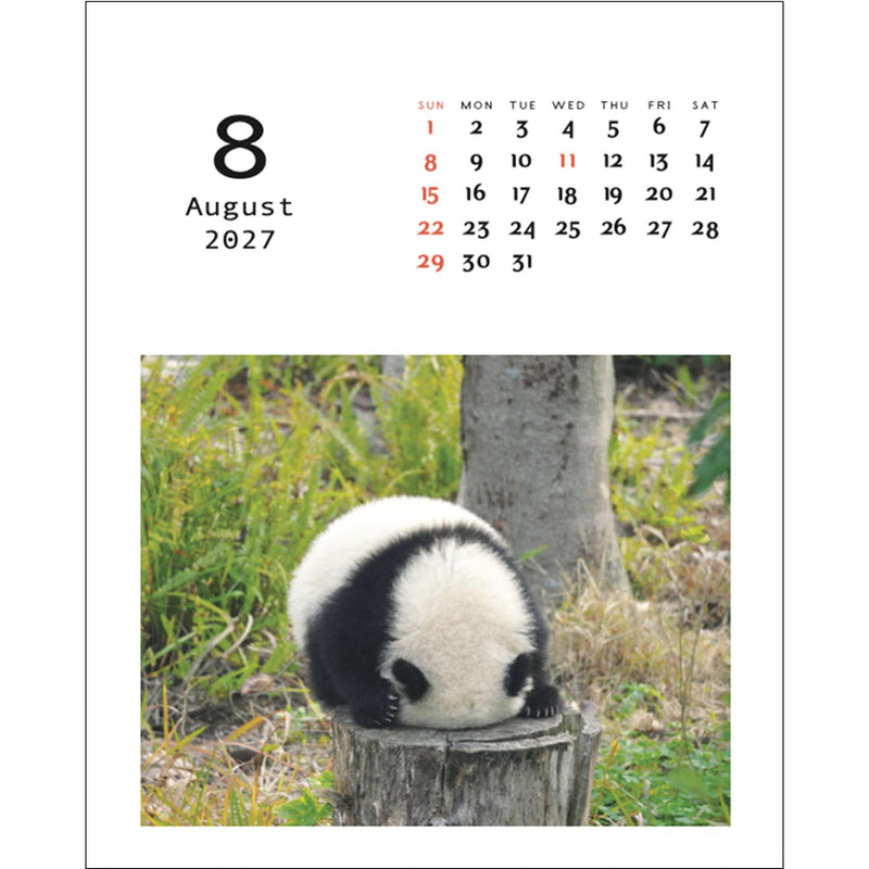 Greeting Life 2027 Desk Calendar Panda C-1768-PA