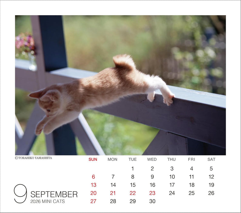 2026 Mini Calendar Cats