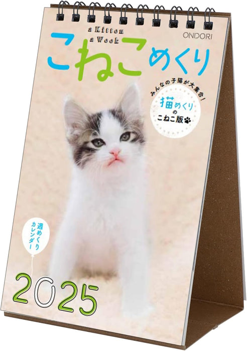 Koneko Mekuri 2025 Desk Calendar CK-C25-03