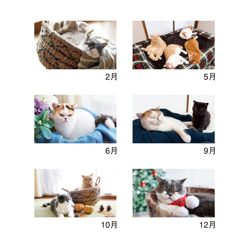 Eco Wall Calendar 2027 B4 (Monday Start) E72