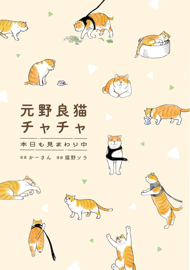 Moto Noraneko Chacha Honjitsu mo Mimawarichuu