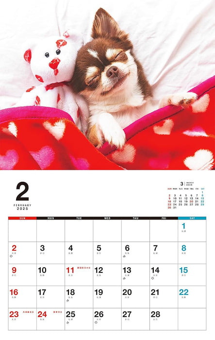 I LOVE Chihuahua Calendar 2025 (Monthly/Wall Calendar)