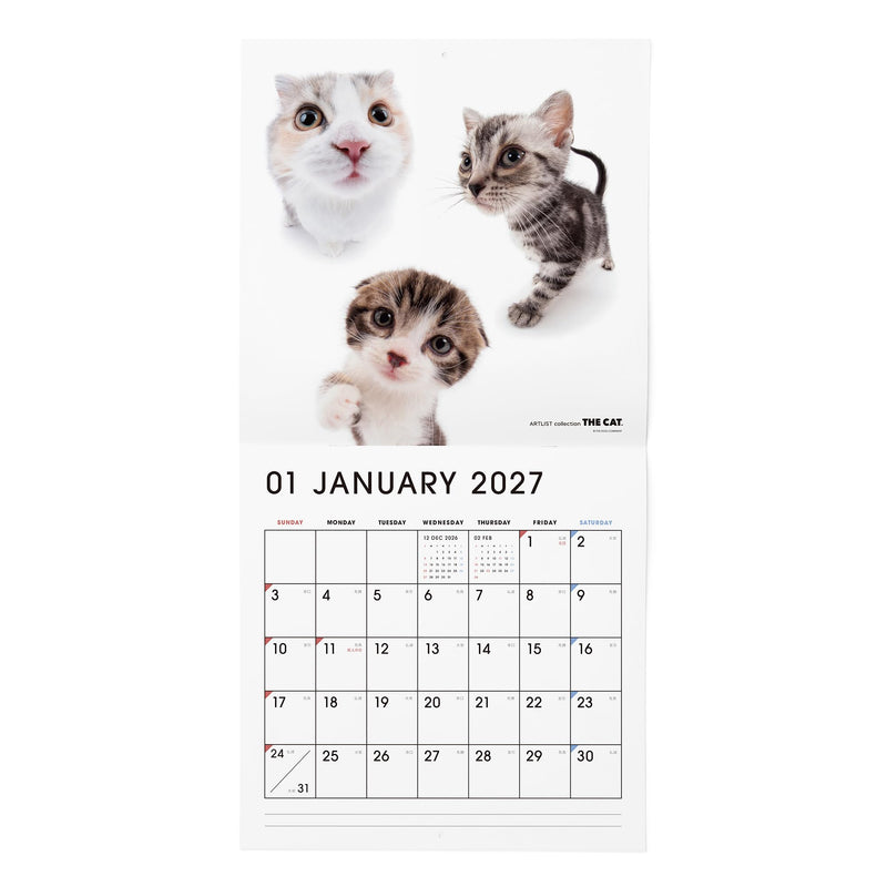 THE CAT 2027 Wall Calendar Large Size [All Stars]