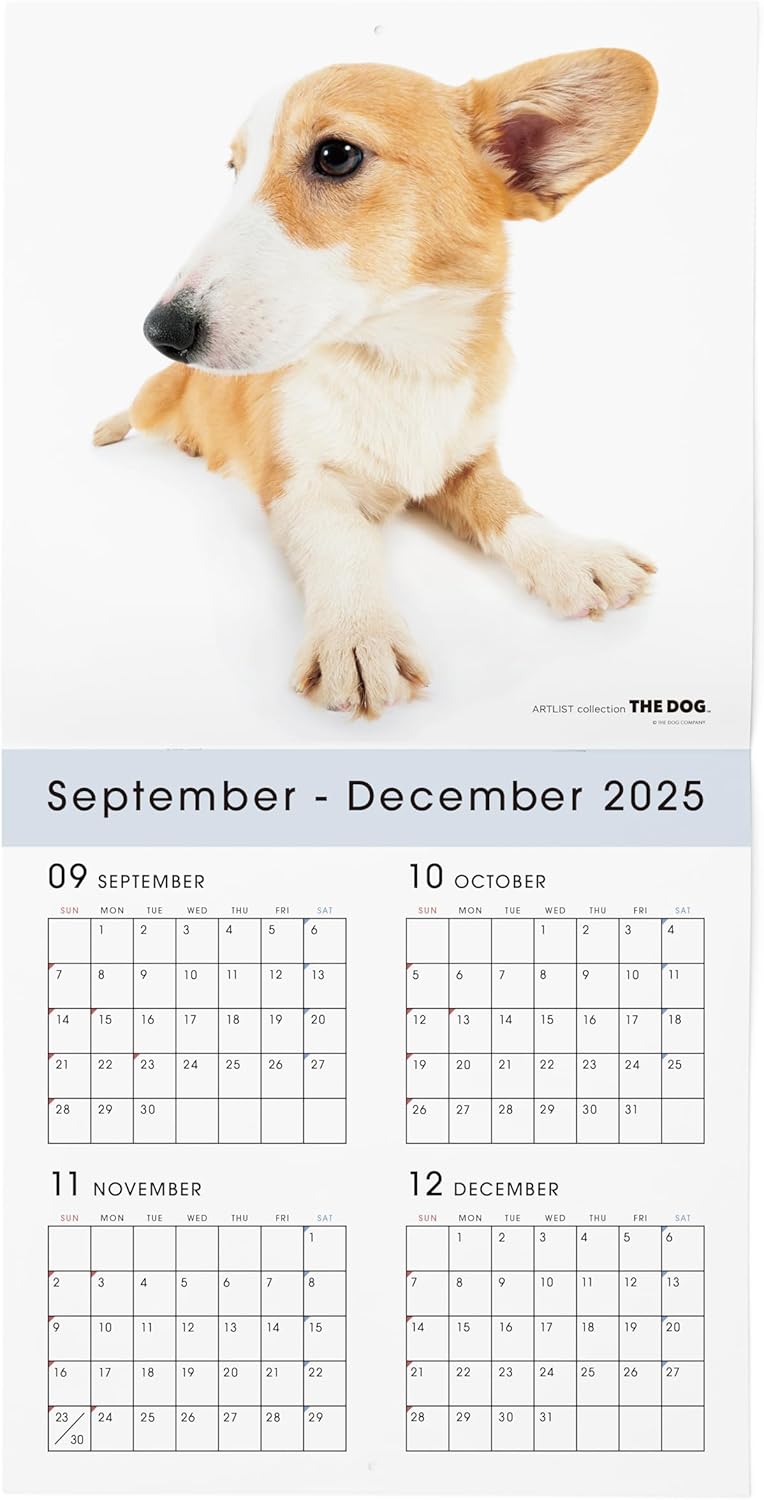THE DOG 2026 Wall Calendar Large Size [Welsh Corgi]