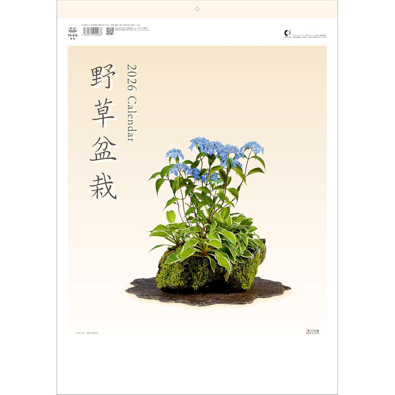 Todan 2026 Wall Calendar Wildflower Bonsai 53.5 x 38cm TD-819
