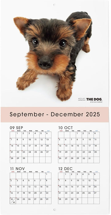 THE DOG 2026 Wall Calendar Mini Size [Yorkshire Terrier]