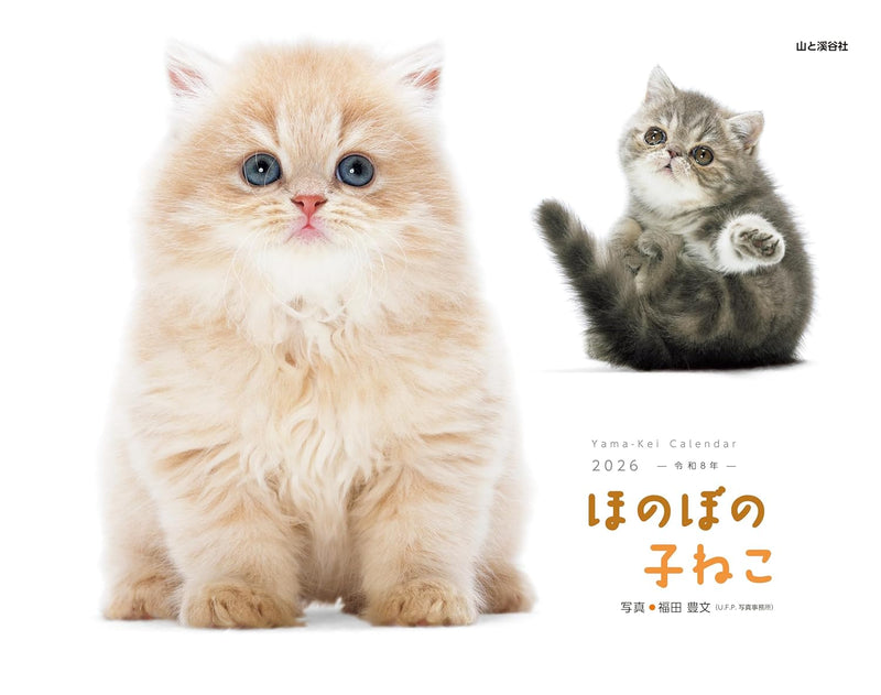 Honobono Koneko 2026 Calendar (Monthly/Wall Calendar)