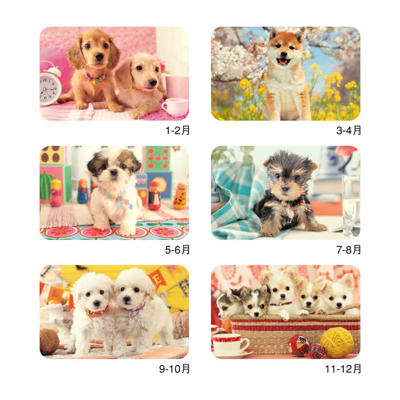 New Japan Calendar 2027 Wall Calendar Natural Dog NK434