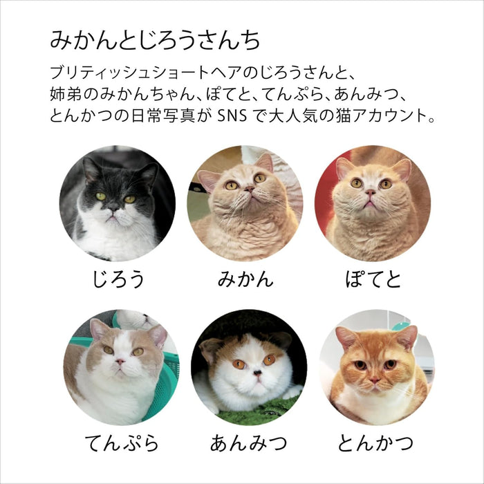 New Japan Calendar 2025 Wall Calendar Life with Cats Mikan to Jirousan Chi NK33