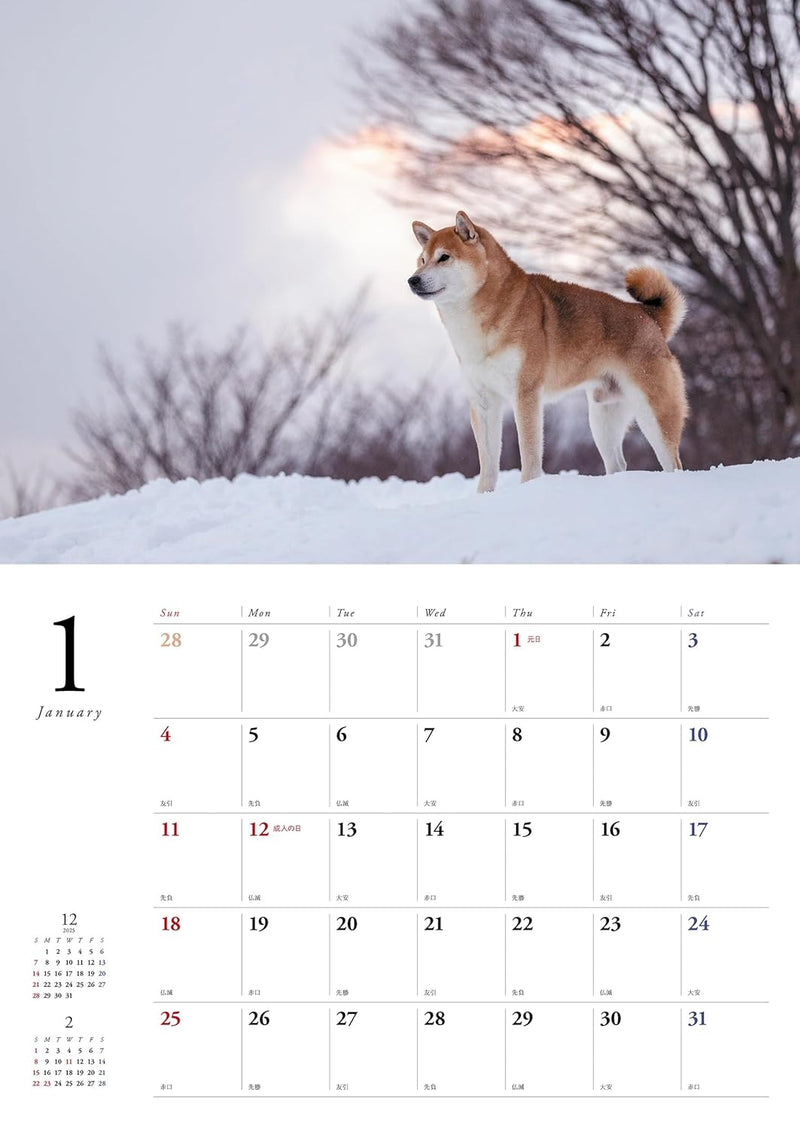 Japanese Shiba Inu Calendar 2026 (Wall Calendar)