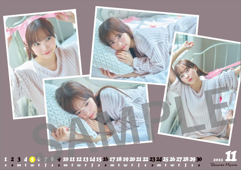 Hagoromo Manaka Inaba 2025 Desk Calendar 2025 April Start CL25-4501