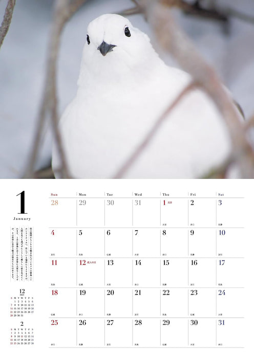Rock Ptarmigan (Raichou) Seasons of the Sacred Bird 2026 Wall Calendar