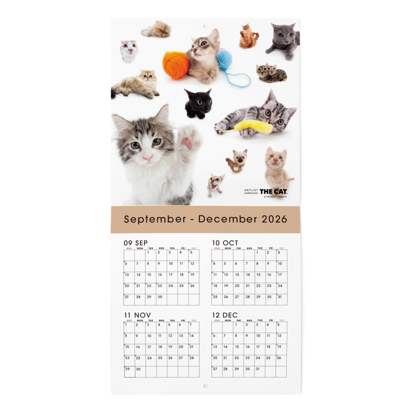 THE CAT 2027 Wall Calendar Mini Size [All Stars]