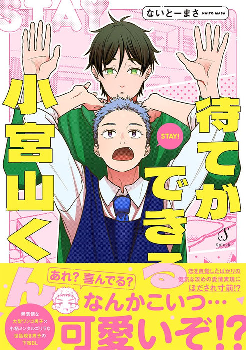 Mate ga Dekiru Komiyama-kun