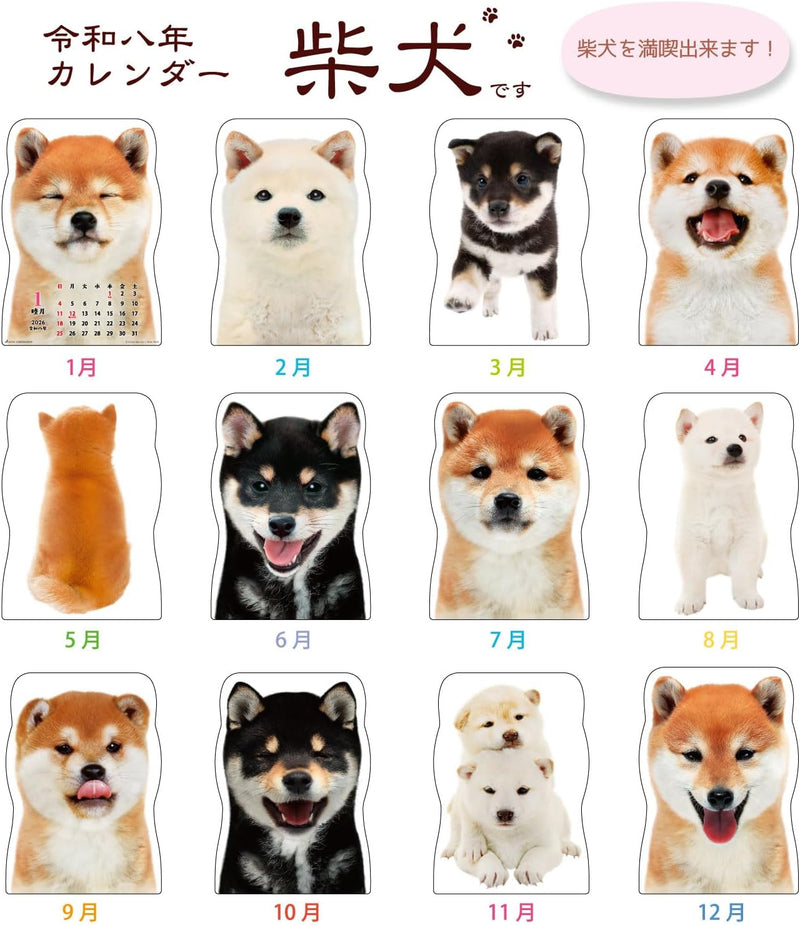 Active Corporation 2026 Wall Calendar Shibainu Desu 26ACL-65