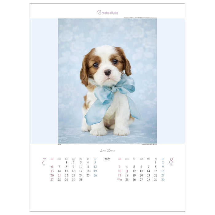 Todan 2025 Wall Calendar Love Dog - Rachel Hale Works - 53.5 x 38cm TD-933