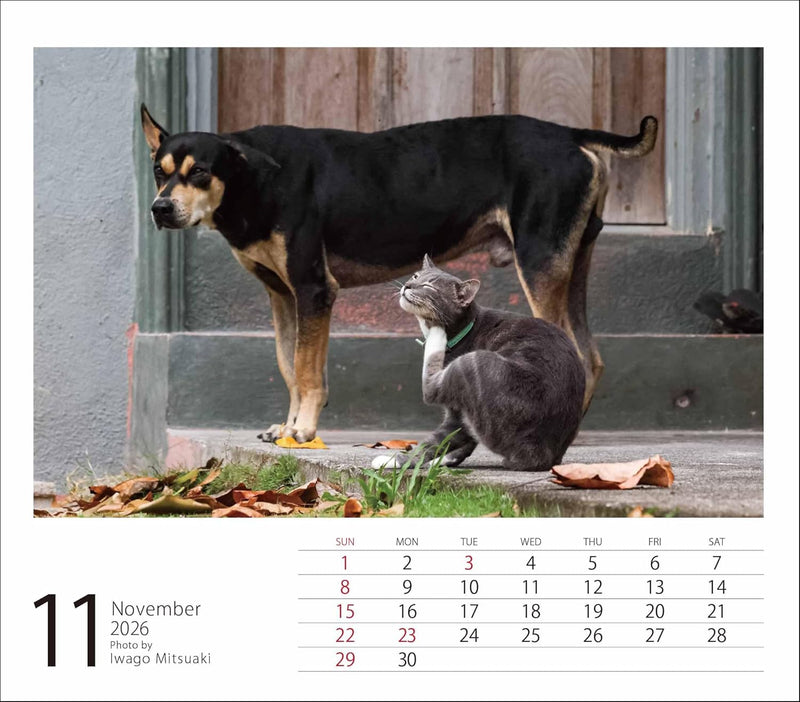 2026 Mini Calendar Mitsuaki Iwago Friends